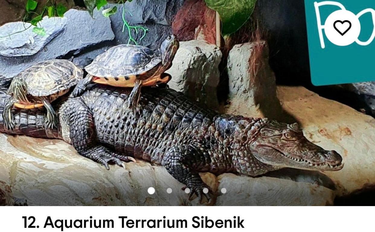 Top City Center Apartments Sibenik Luaran gambar